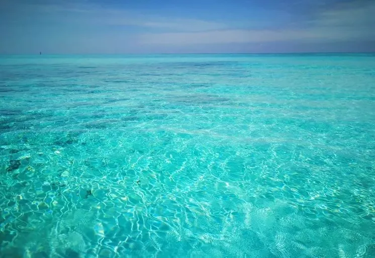 据说,西沙的海水能见度高达30米.