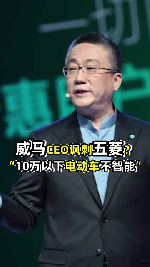 讽刺五菱？威马汽车CEO表示10万以下只能叫电动车