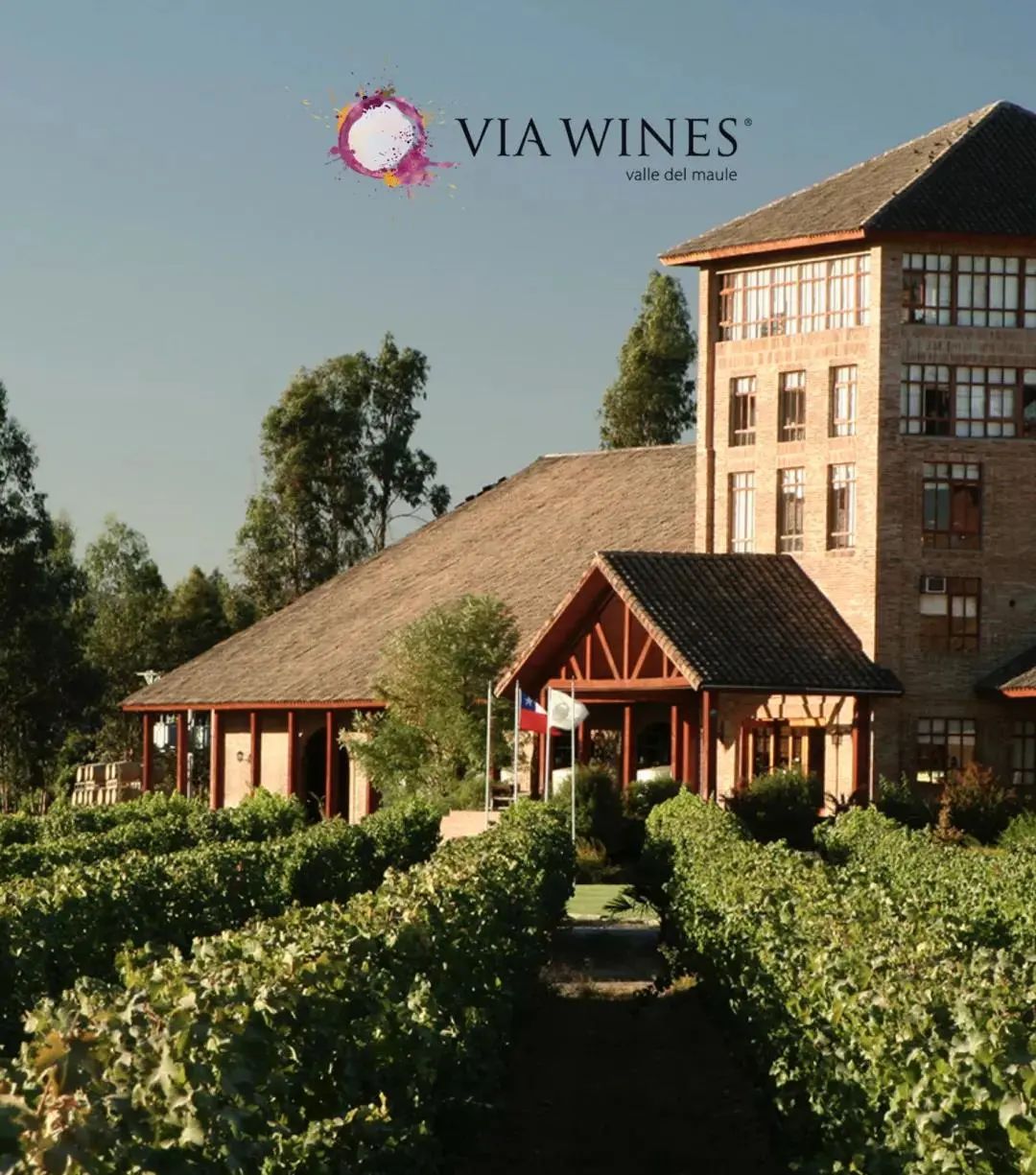 winesofchile明星阵容亮相winetoasia2021呈现智利