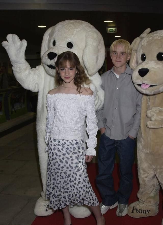 让我们想要重温哈利波特电影|汤姆·费尔顿|艾玛·沃特森|哈利·波特