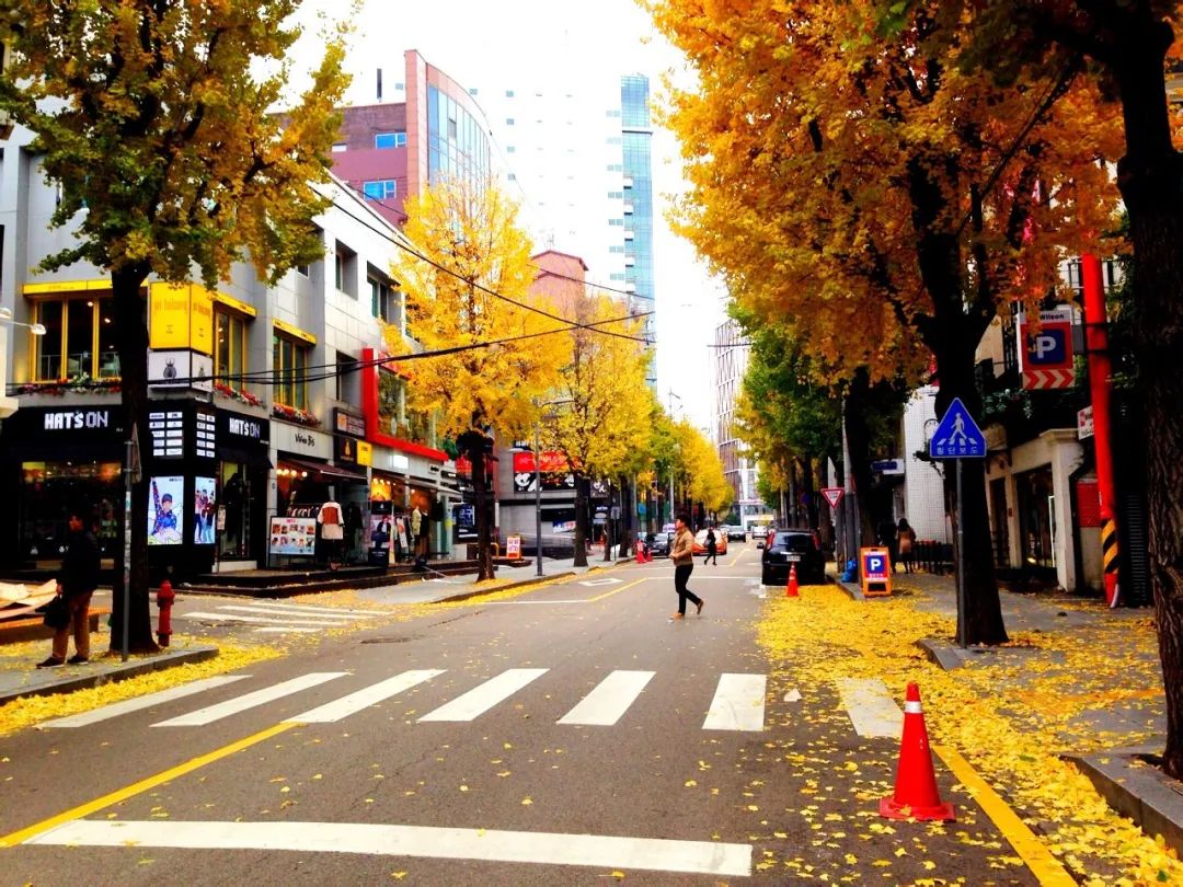 韩国世界top50名校!