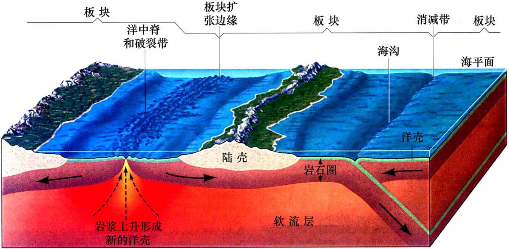东京奥运会倒计时日本却突然发生55级地震为什么地震这么多
