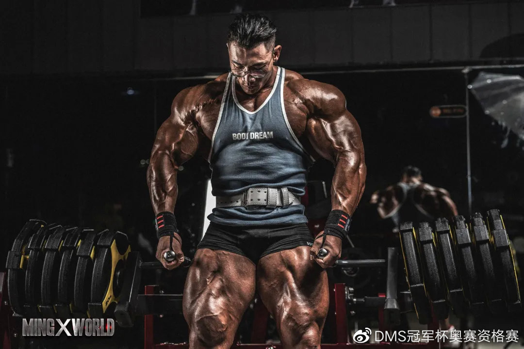 致"鹿神"鹿晨辉 | 感谢一"鹿"有你,热爱同行|鹿晨辉|健美|冠军杯_新浪