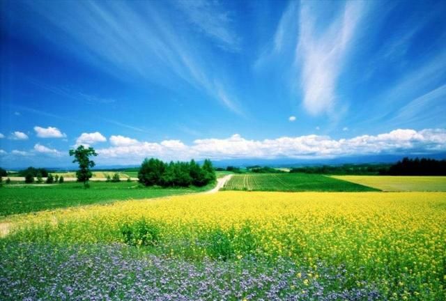 在未来的60天内,财运上升,事业顺利,好运来临的三个生肖