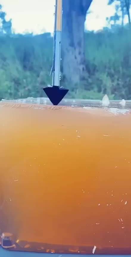 东厂发明的犬齿倒钩箭,一旦中箭就无法取出