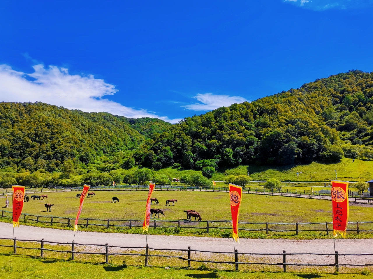 宝鸡大水川风景区门票多少钱(宝鸡大水川风景区门票优惠政策)