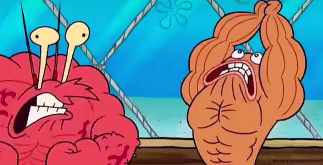 《海绵宝宝》的原型,蟹老板不是熟螃蟹,“肌肉猛鱼”也存在休闲区蓝鸢梦想 - Www.slyday.coM 《海绵宝宝》的原型,蟹老板不是熟螃蟹,“肌肉猛鱼”也存在休闲区蓝鸢梦想 - Www.slyday.coM