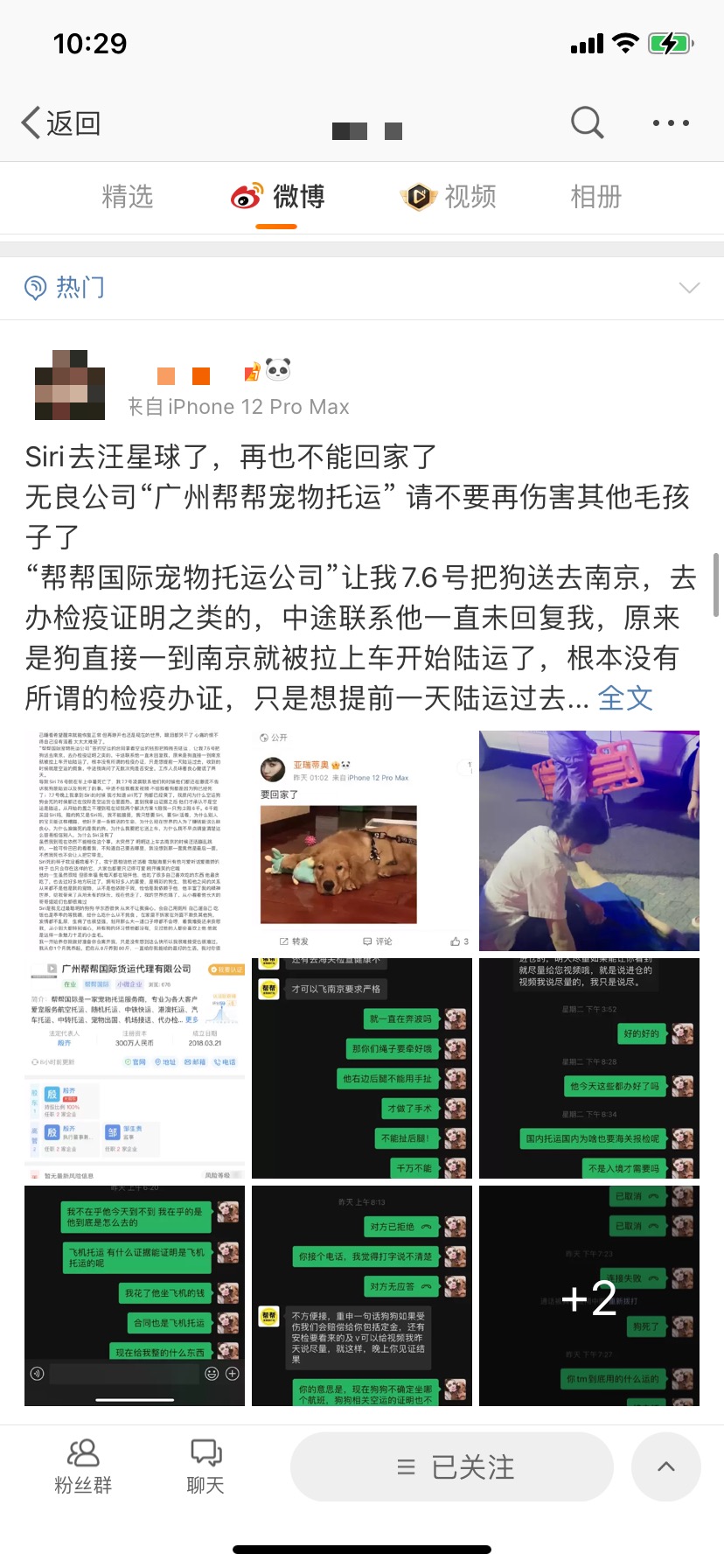 金毛主人发文 图片来源：微博博主“亚瑞蒂奥”