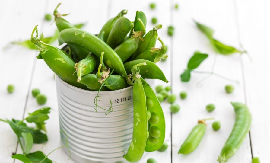 上游61互动丨头条大赛第11季丨廖伟马豌豆