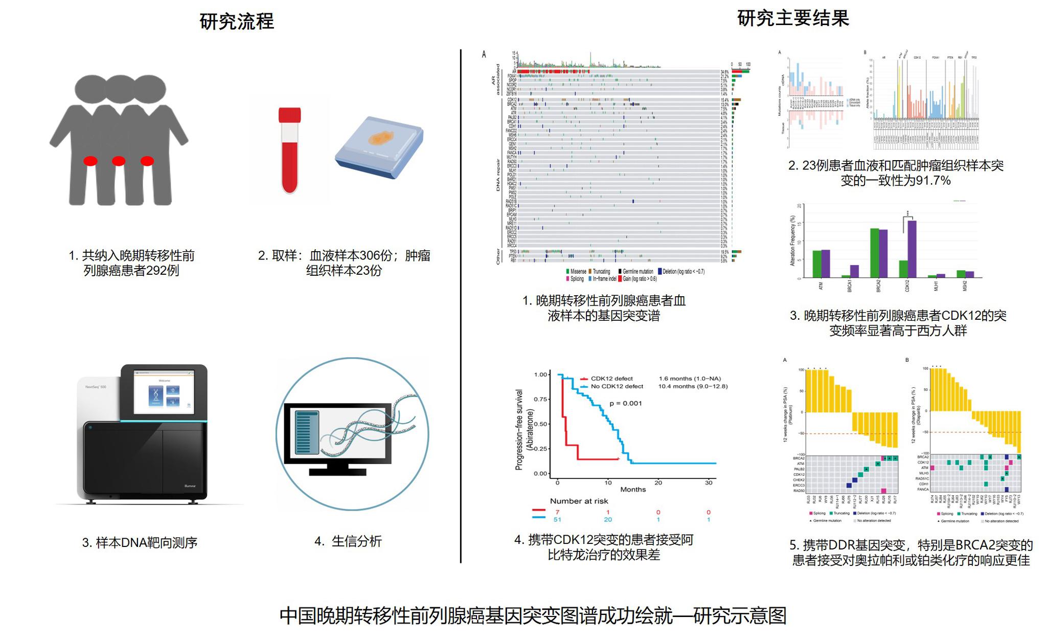 中国晚期转移性前列腺癌患者基因突变图谱