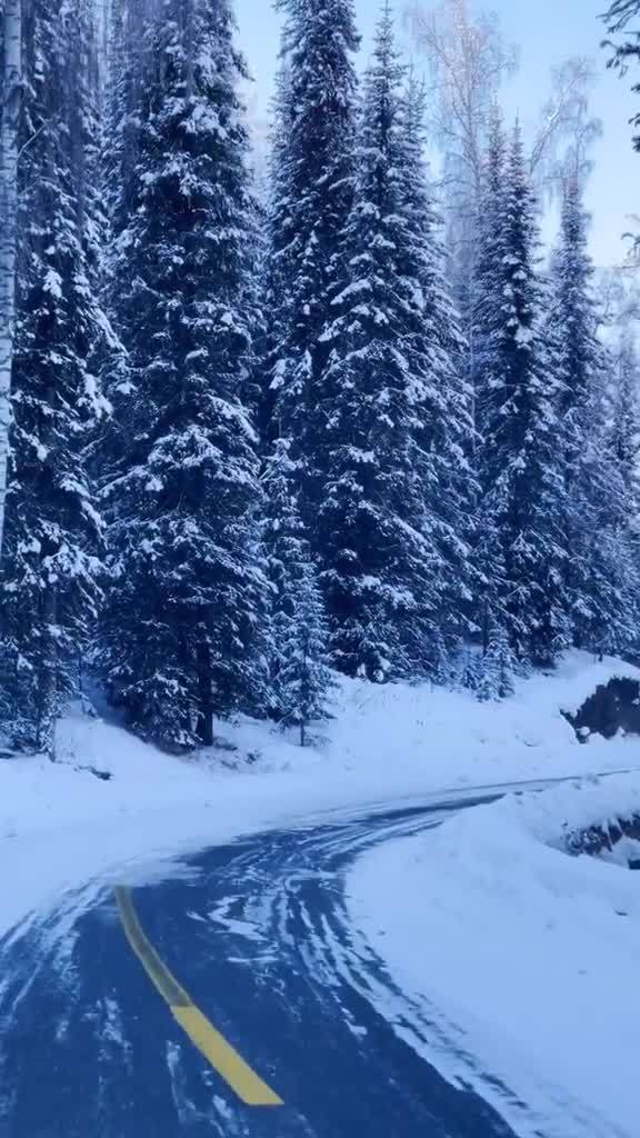 童话世界中的( 狗熊岭 )是真实存在的,有机会,踏上旅途