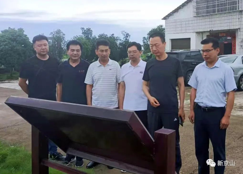 将军的故乡情京山徐有泽将军返乡记