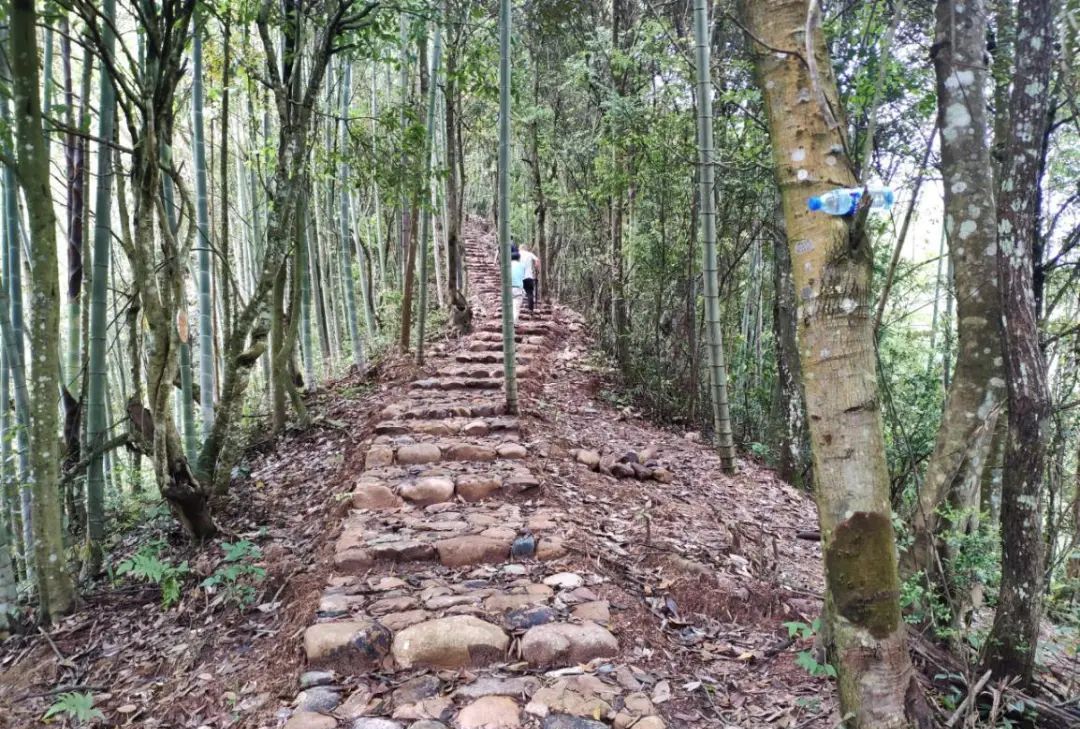 福建省美丽休闲乡村龙岩武平县万安镇捷文村