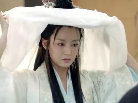 宫羽见梅长苏煞费苦心结果还没见到梅长苏让豫津带飞流见世
