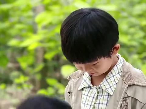 俺娘田小草:小草让自己儿子砍柴,让仇人儿子上学,想法真奇特!