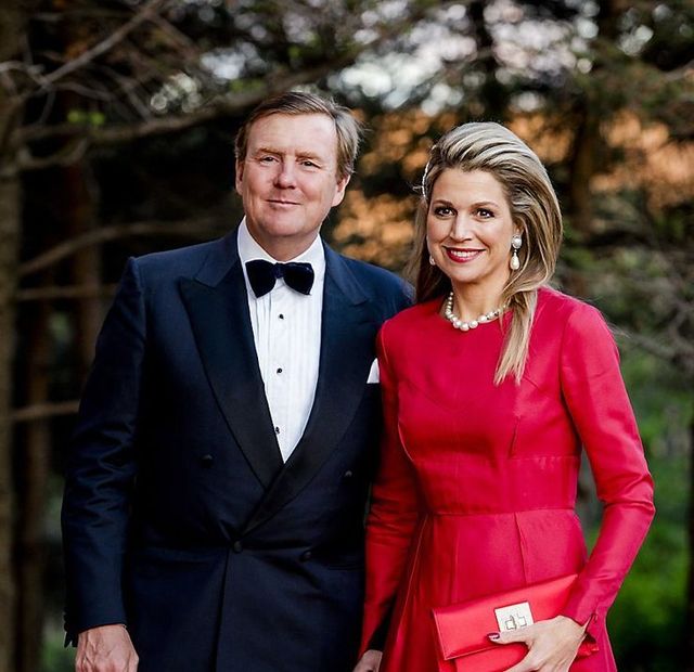 苦恋3年历经波折,31岁嫁给国王,民众从反对到爱戴|荷兰|马克西玛|王储