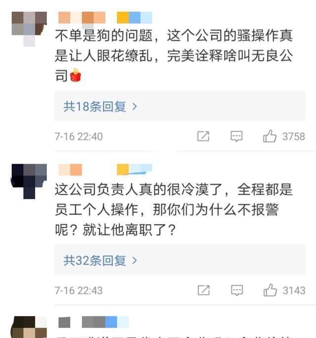 陈乔恩为金毛发声后续,托运死亡是员工接私单导致,员工现已离职休闲区蓝鸢梦想 - Www.slyday.coM