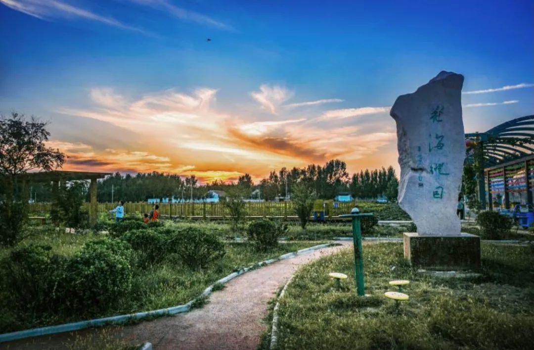 临邑县临盘街道前杨村的幸福小康路