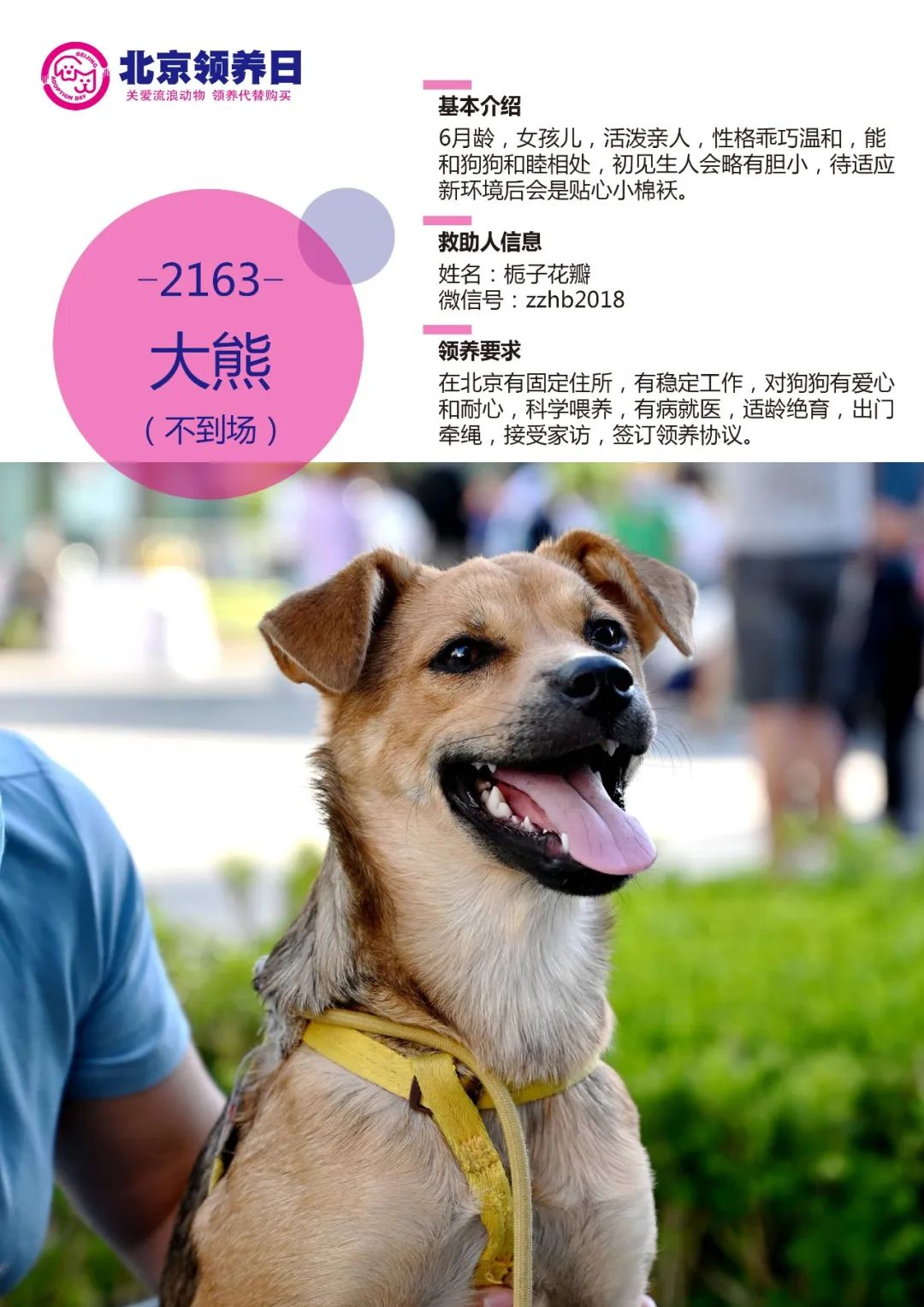 北京市流浪狗救助站，流浪狗基地 - 流浪啦宠物领养网