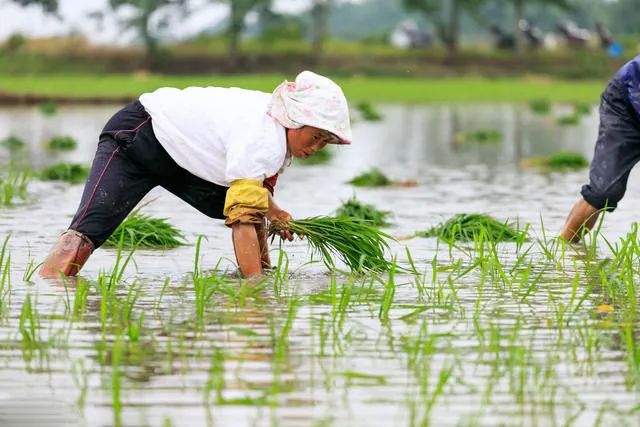 4小时赚3元,不学习就吃苦?体验式教育一片叫好,问题却从未解决休闲区蓝鸢梦想 - Www.slyday.coM 4小时赚3元,不学习就吃苦?体验式教育一片叫好,问题却从未解决休闲区蓝鸢梦想 - Www.slyday.coM