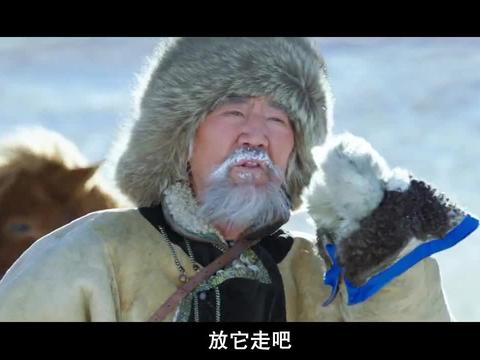 冯绍峰说狼是太可恶了可阿爸却说黄羊才是草原的祸害