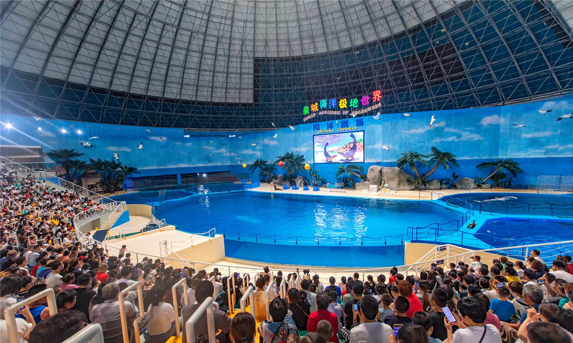 山东一家海洋馆的表演为何引来数千人惊呼原因不仅是精彩纷呈