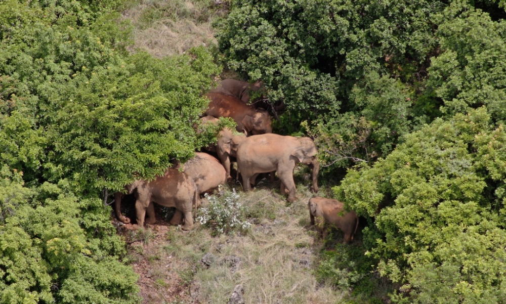 晨读｜韩国前奥运冠军柳承敏新冠病毒检测呈阳性 出发前已接种疫苗休闲区蓝鸢梦想 - Www.slyday.coM