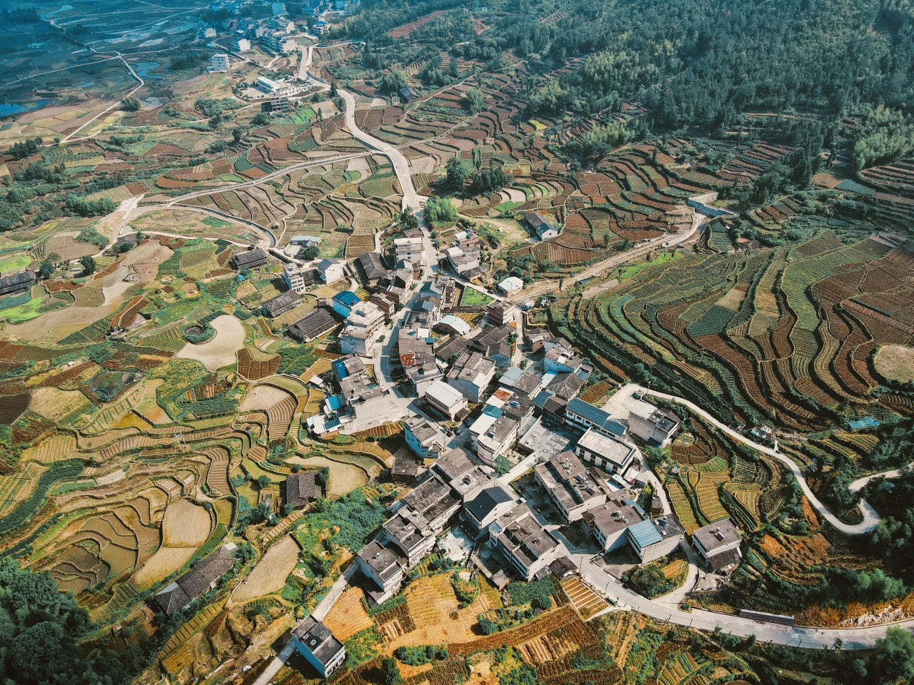 浙报头版聚焦|温州山村"出山记"