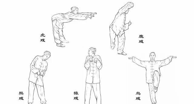 有简单易实施的第九套广播体操,指导养生的重要中国传统运动五禽戏