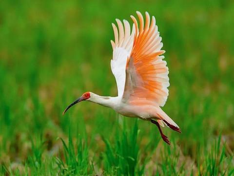 一胎六宝爸比好厉害小说免费阅读