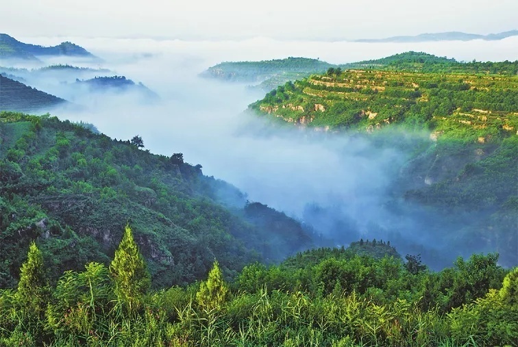 绥德县山川梁峁披绿装
