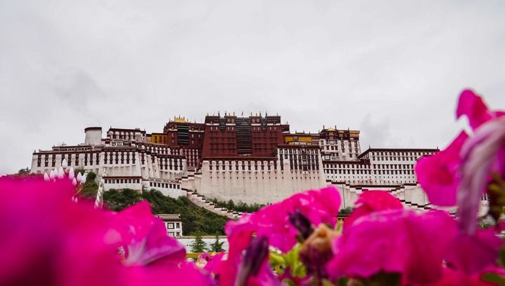这是鲜花掩映下的布达拉宫（2018年7月22日摄）。新华社记者 晋美多吉 摄