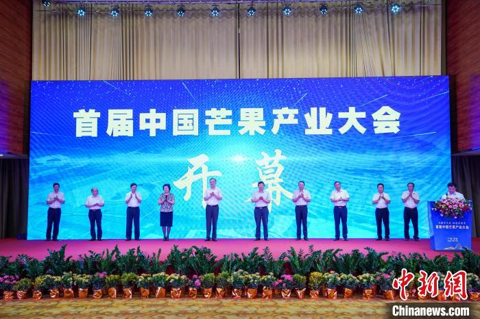图为首届中国芒果产业大会开幕。陈冠言 摄
