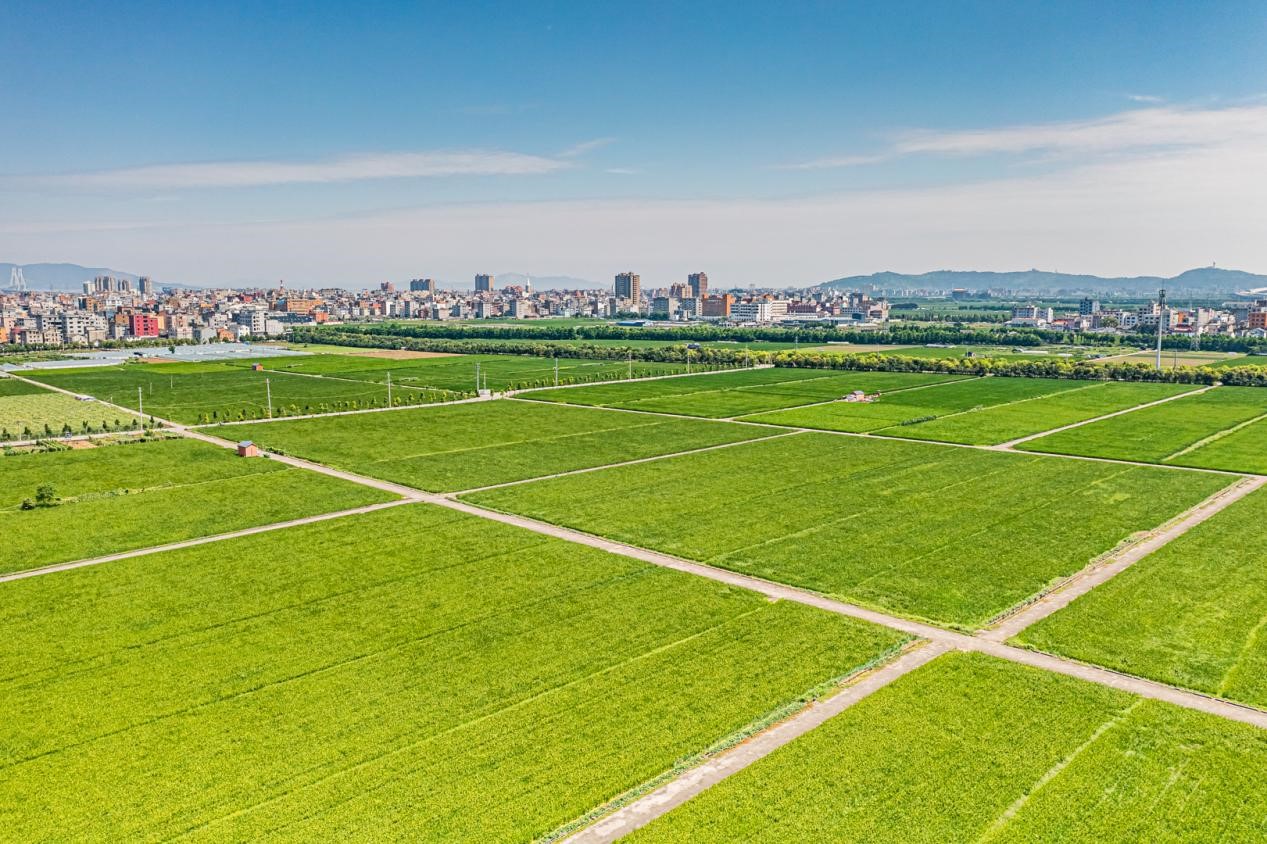 乐清翁垟:持续发力巩固提升 绘就美丽田园画卷