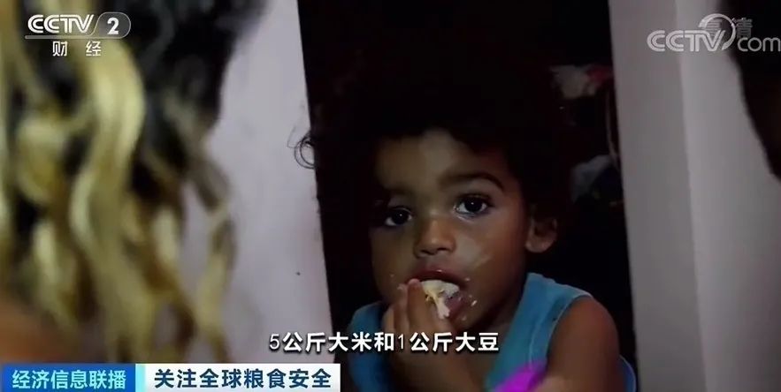 全球多国粮价大幅上涨 但中国不慌 巴西 新浪财经 新浪网