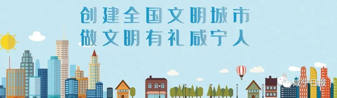 咸宁车主请注意！这种行为将被处罚、纳入征信休闲区蓝鸢梦想 - Www.slyday.coM