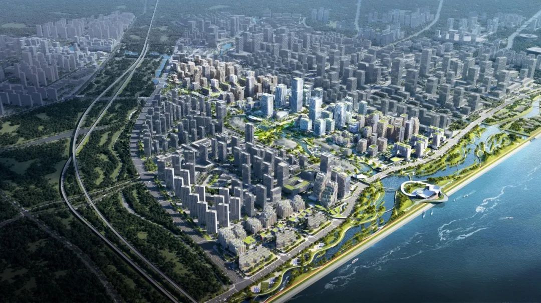 钱塘江南岸新地标 杭州钱塘湾未来总部基地竞赛方案亮相|杭州市|一等奖|管委会|竹生长·水生活·锚链接|区域_新浪新闻