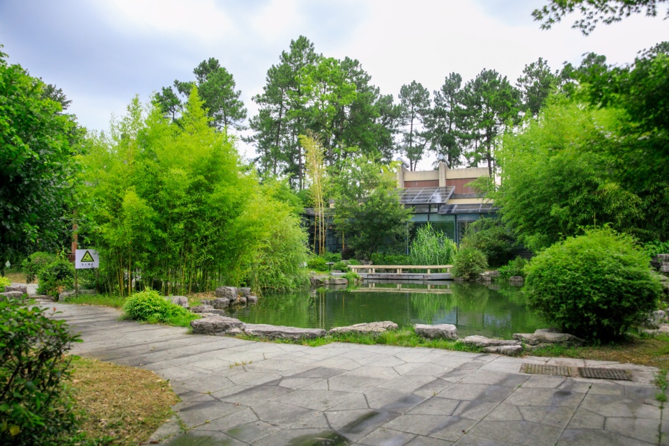 安吉竹博园消暑纳凉好去处看炫酷水影秀