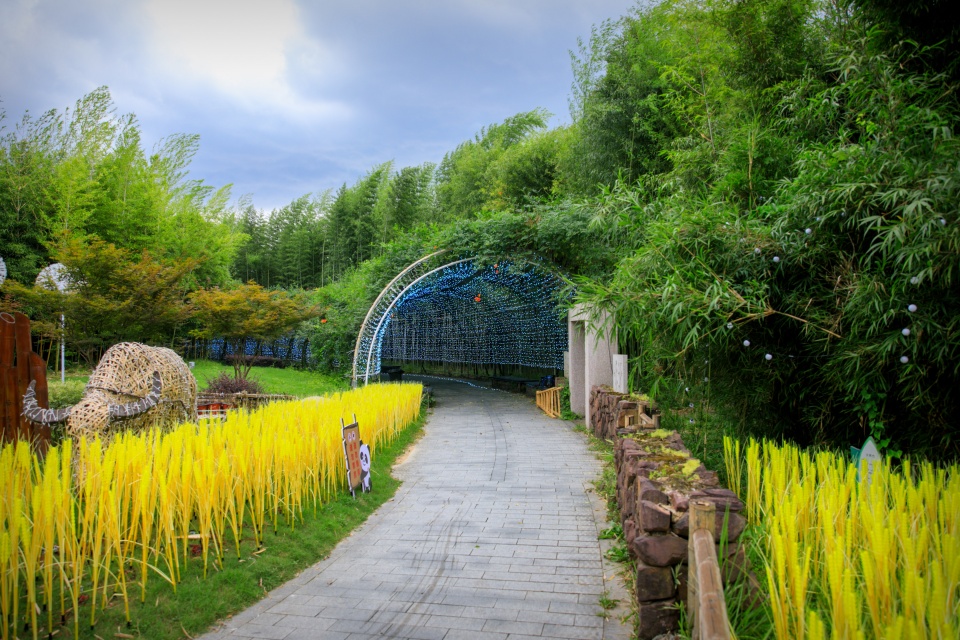 安吉竹博园消暑纳凉好去处看炫酷水影秀