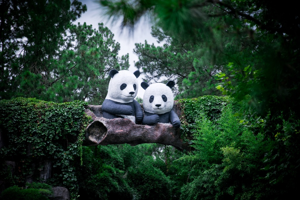 【竹博园大熊猫馆】如果对竹文化感兴趣,来竹博园,一定不要错过这个竹