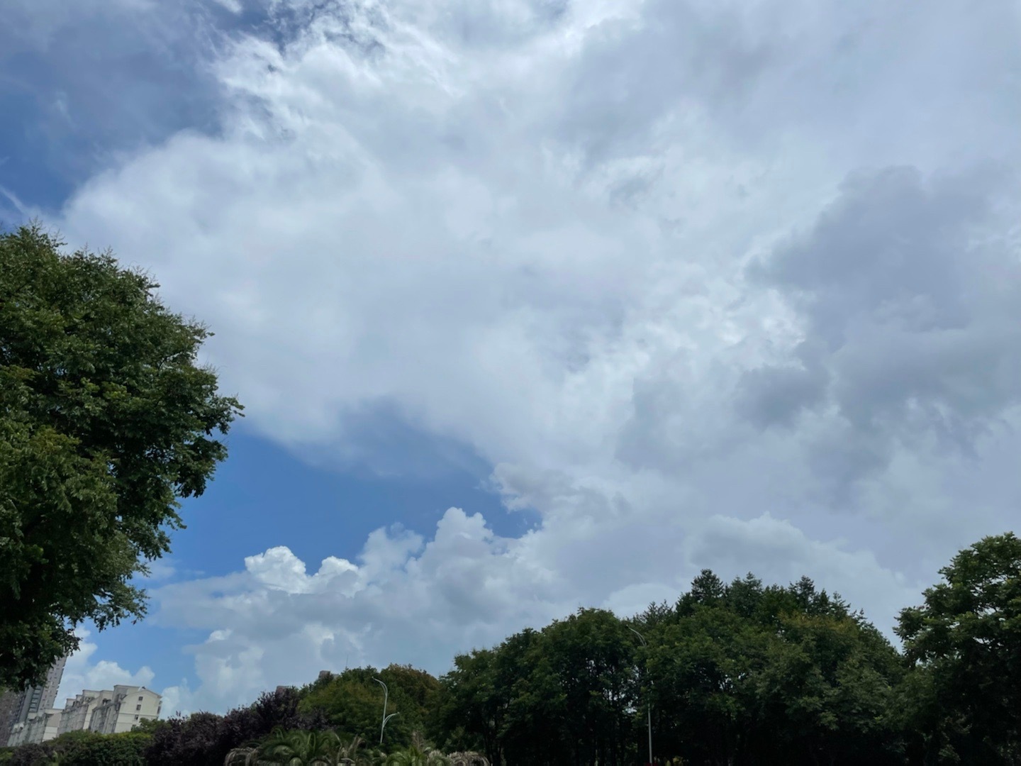 宁波天气# 爱就像蓝天白云晴空万里突然暴风雨