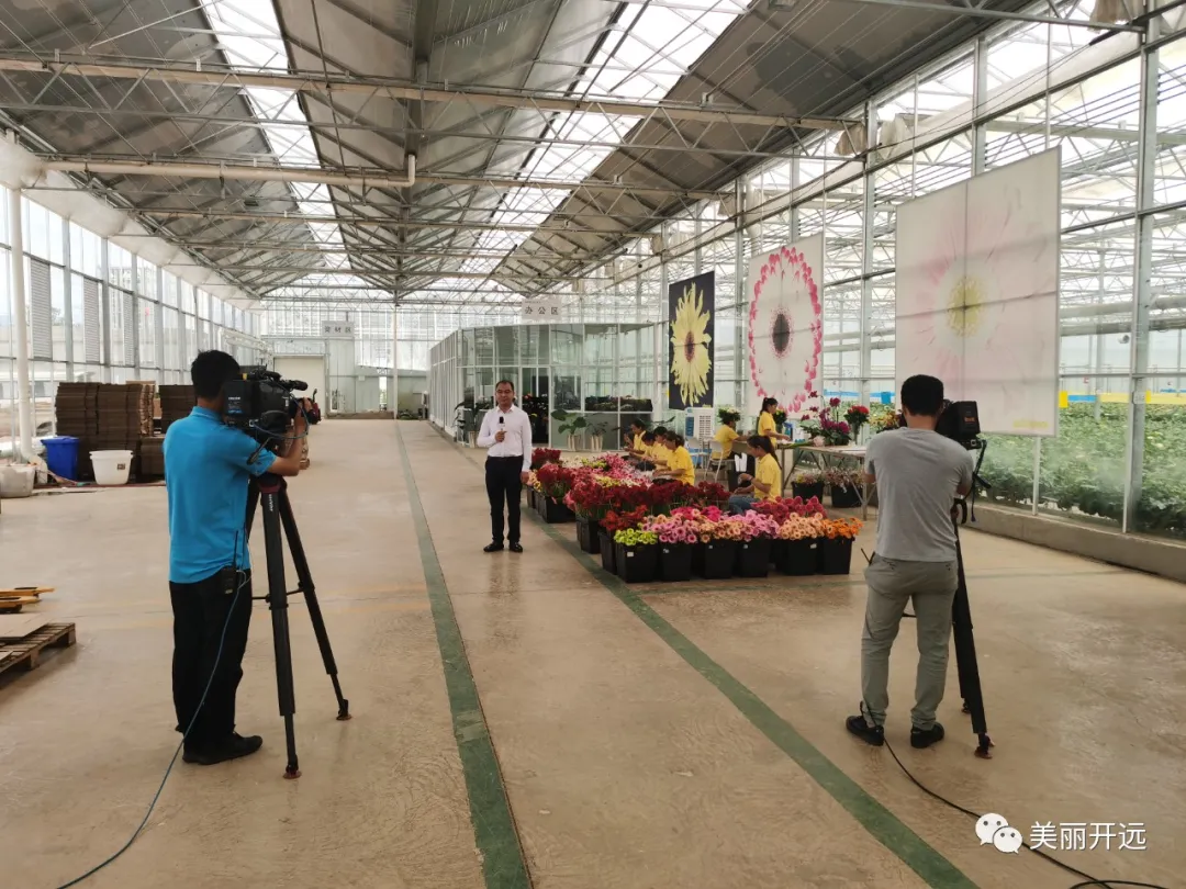 央视新闻特别节目《走进乡村看小康》走进开远国家现代农业产业园休闲区蓝鸢梦想 - Www.slyday.coM