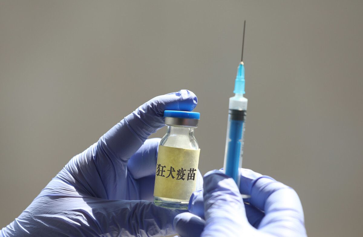 儿童新冠疫苗来了!哪些孩子可以打哪些不可以打?一共要打几针?