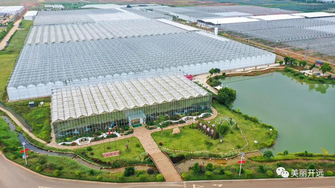 央视新闻特别节目《走进乡村看小康》走进开远国家现代农业产业园休闲区蓝鸢梦想 - Www.slyday.coM