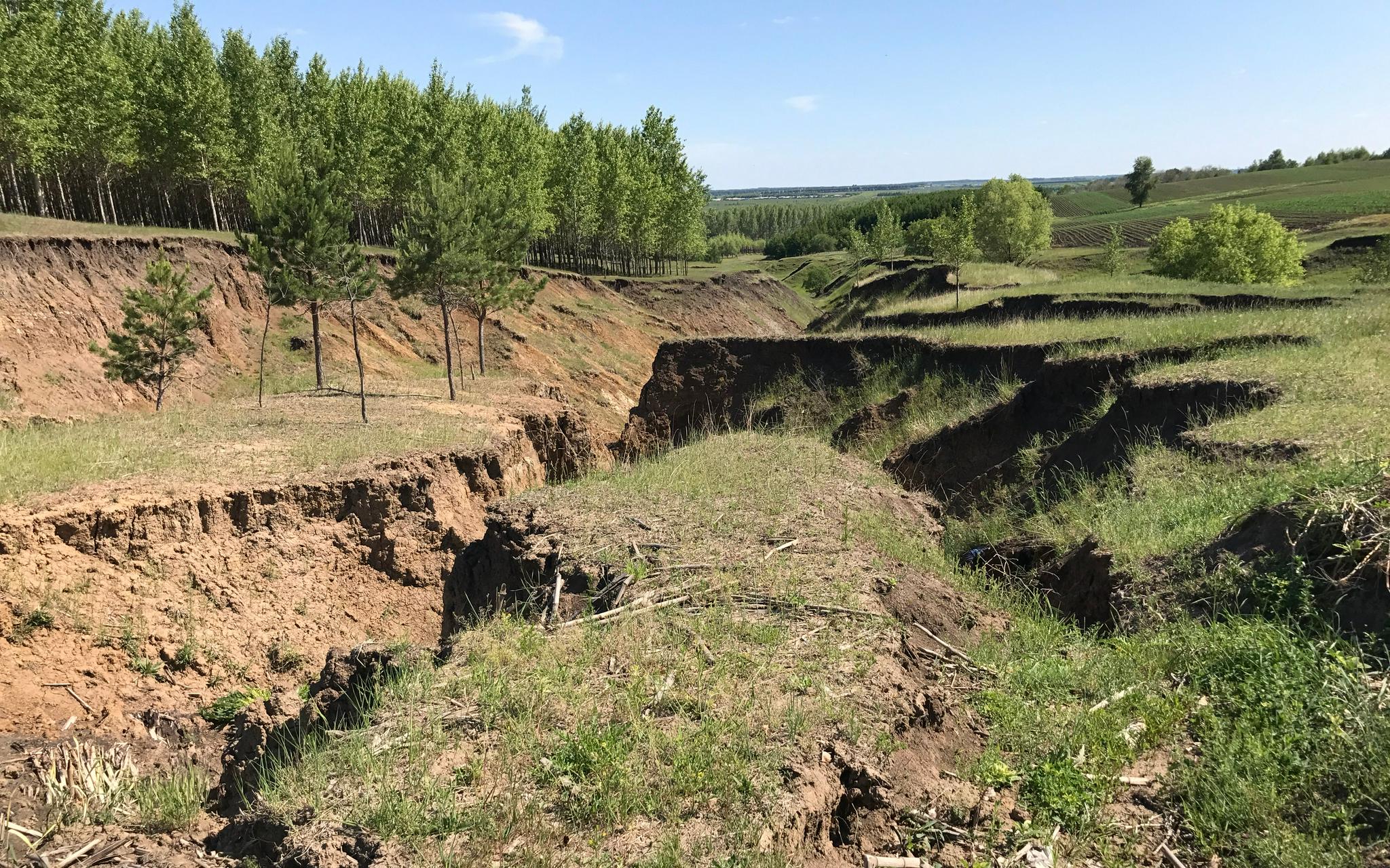 沟道侵蚀是土地退化最为严重的表现形式.