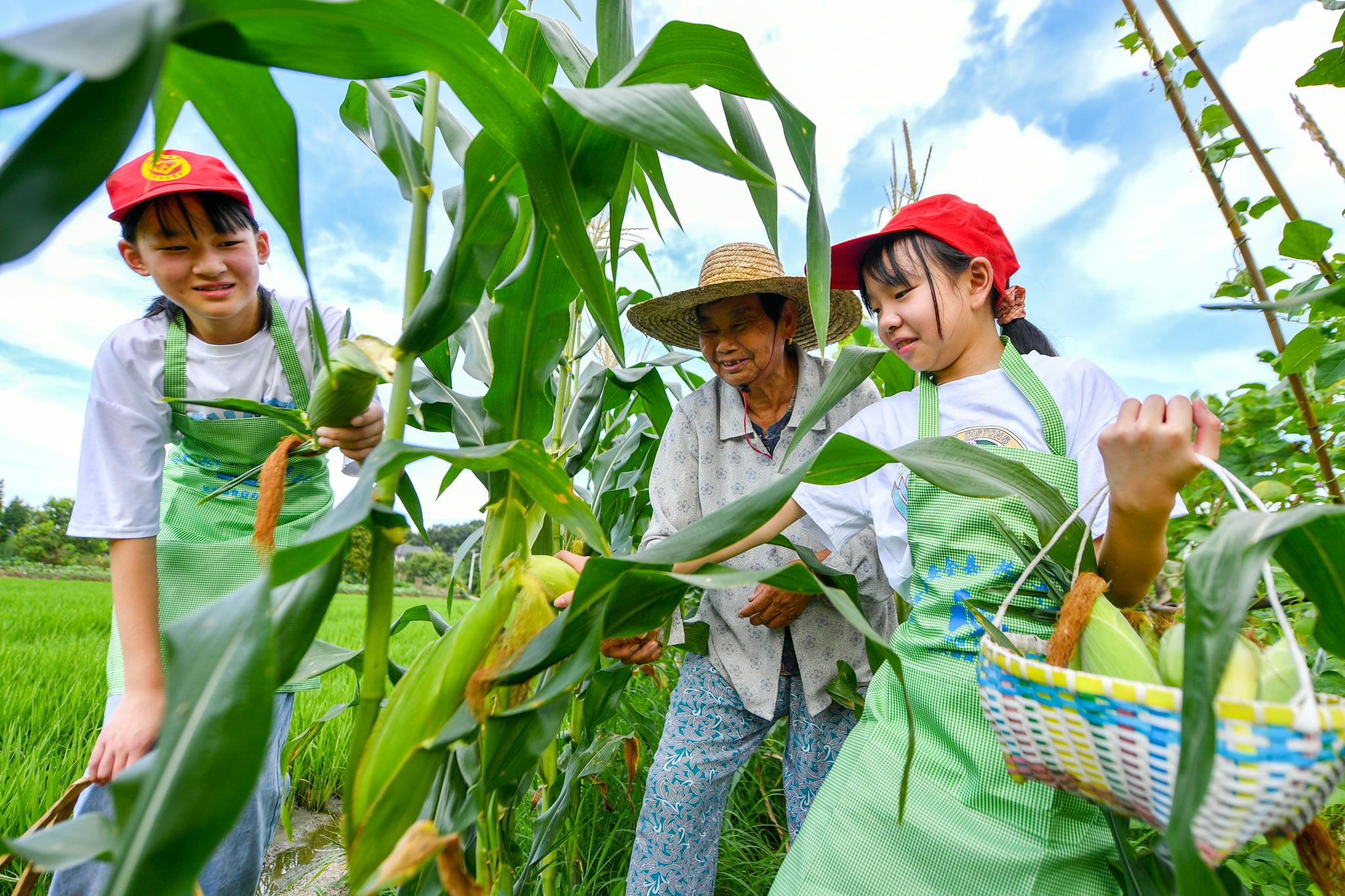 长兴:暑期托管 体验农耕