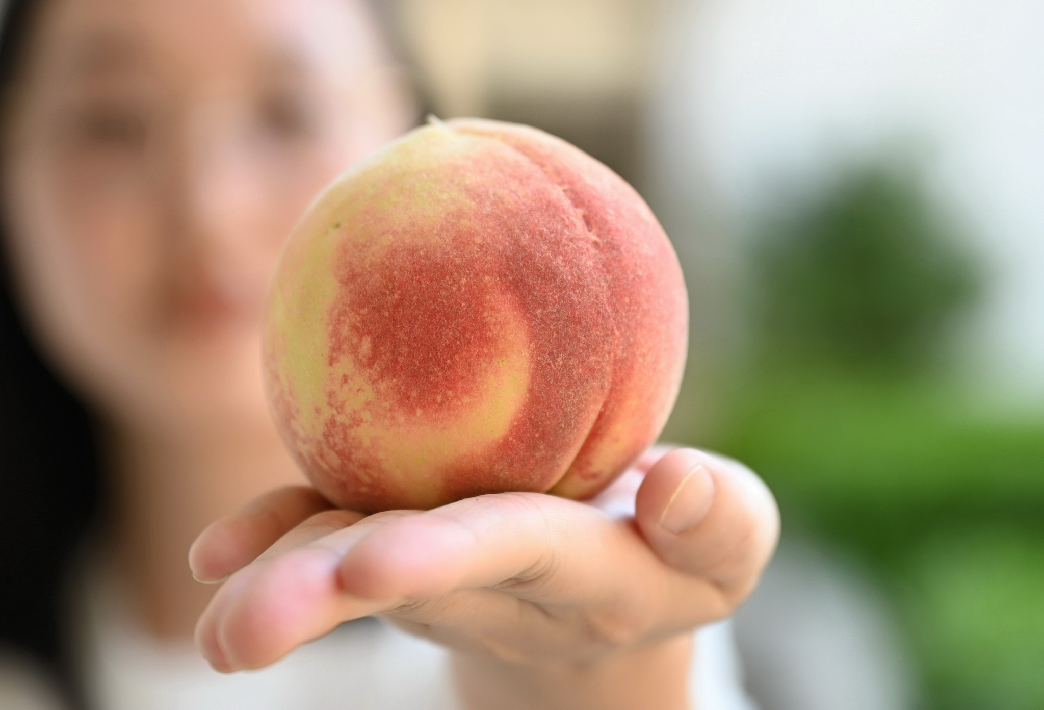 7月19日,福安市穆阳镇居民展示穆阳水蜜桃.新华社记者 林善传 摄