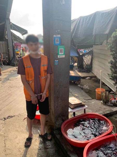 警惕行窃新方式！一男子竟偷换商家二维码，已被刑拘休闲区蓝鸢梦想 - Www.slyday.coM