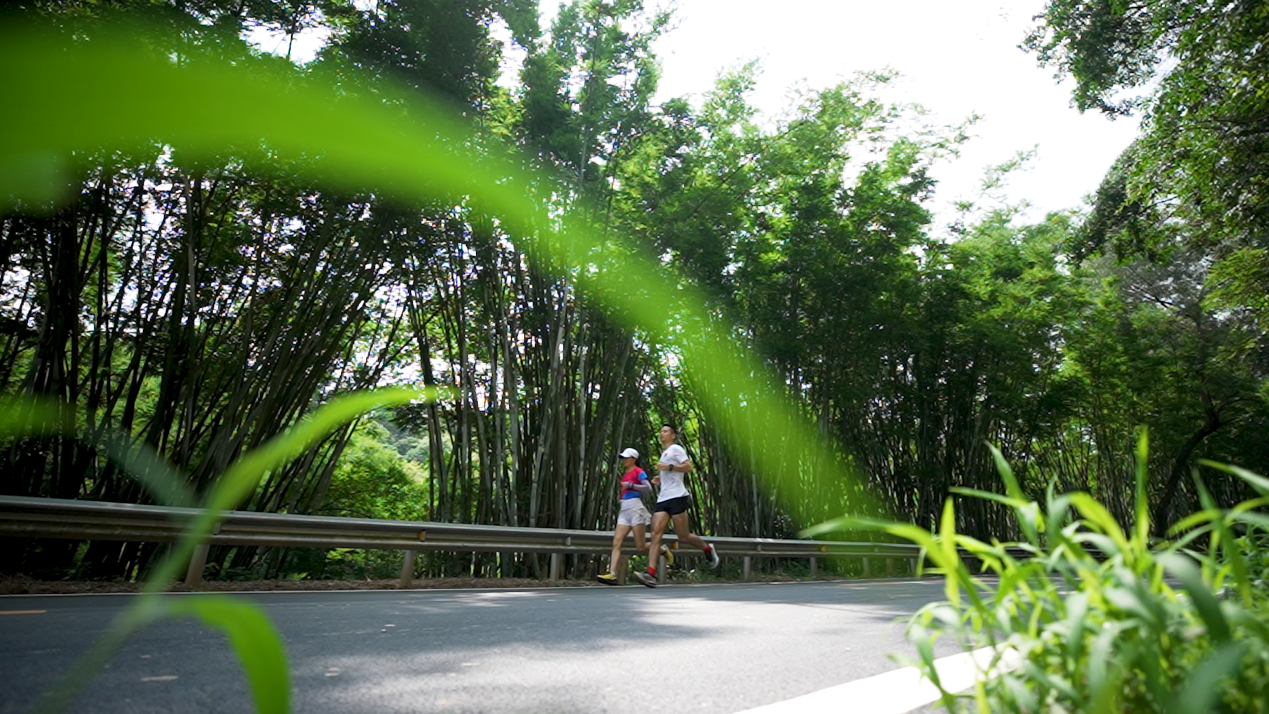 助力乡村振兴广州长岭街道黄麻社区举行乡村振兴暨国家登山健身步道