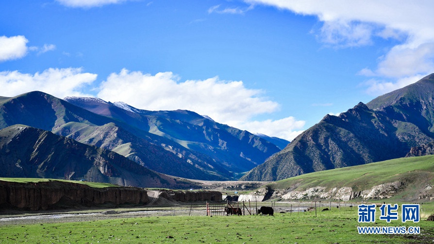 这是青海省玉树藏族自治州治多县立新乡叶青村附近的草场(2019年6月20